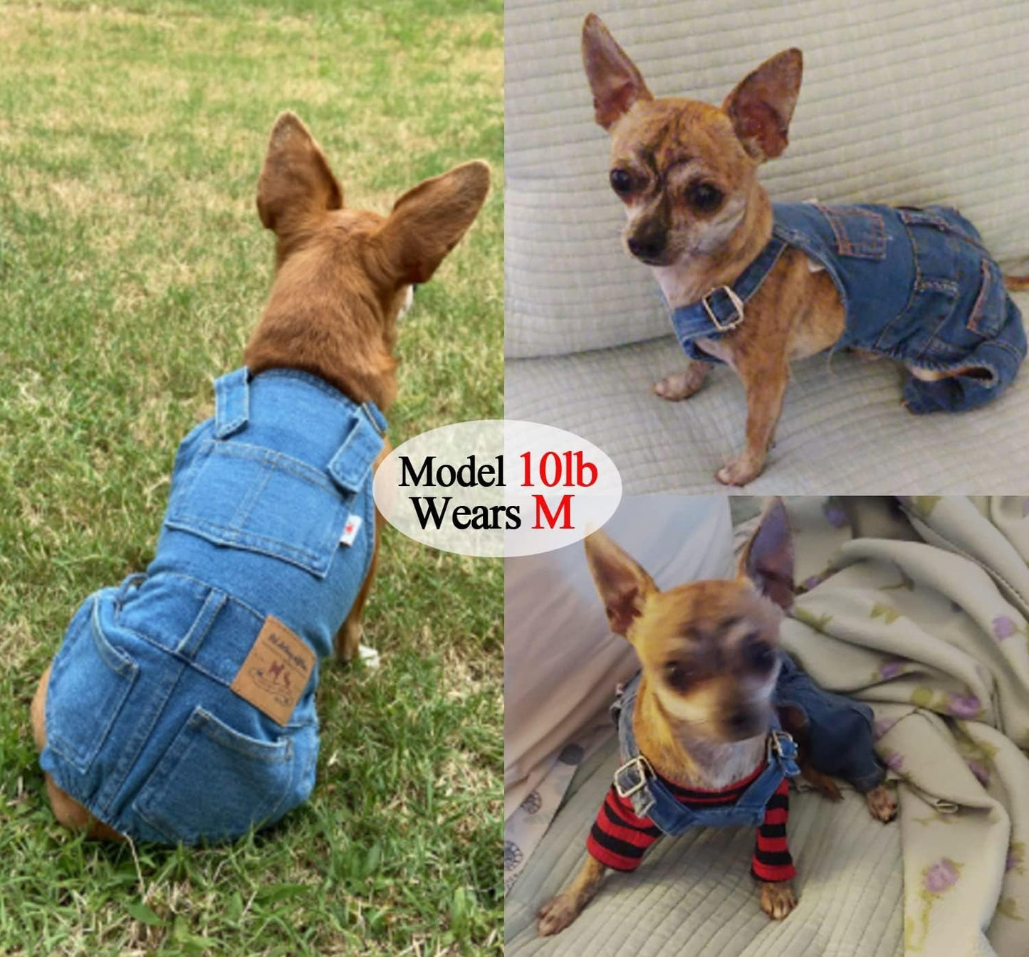 Classic Denim Dog Overalls