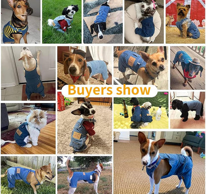 Classic Denim Dog Overalls
