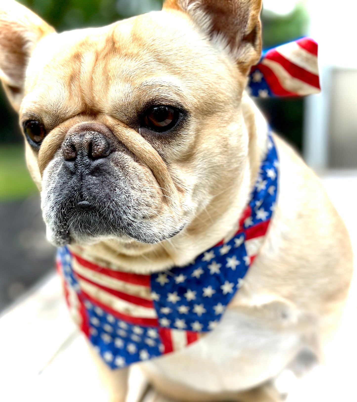 Americana Patchwork Dog Bandana