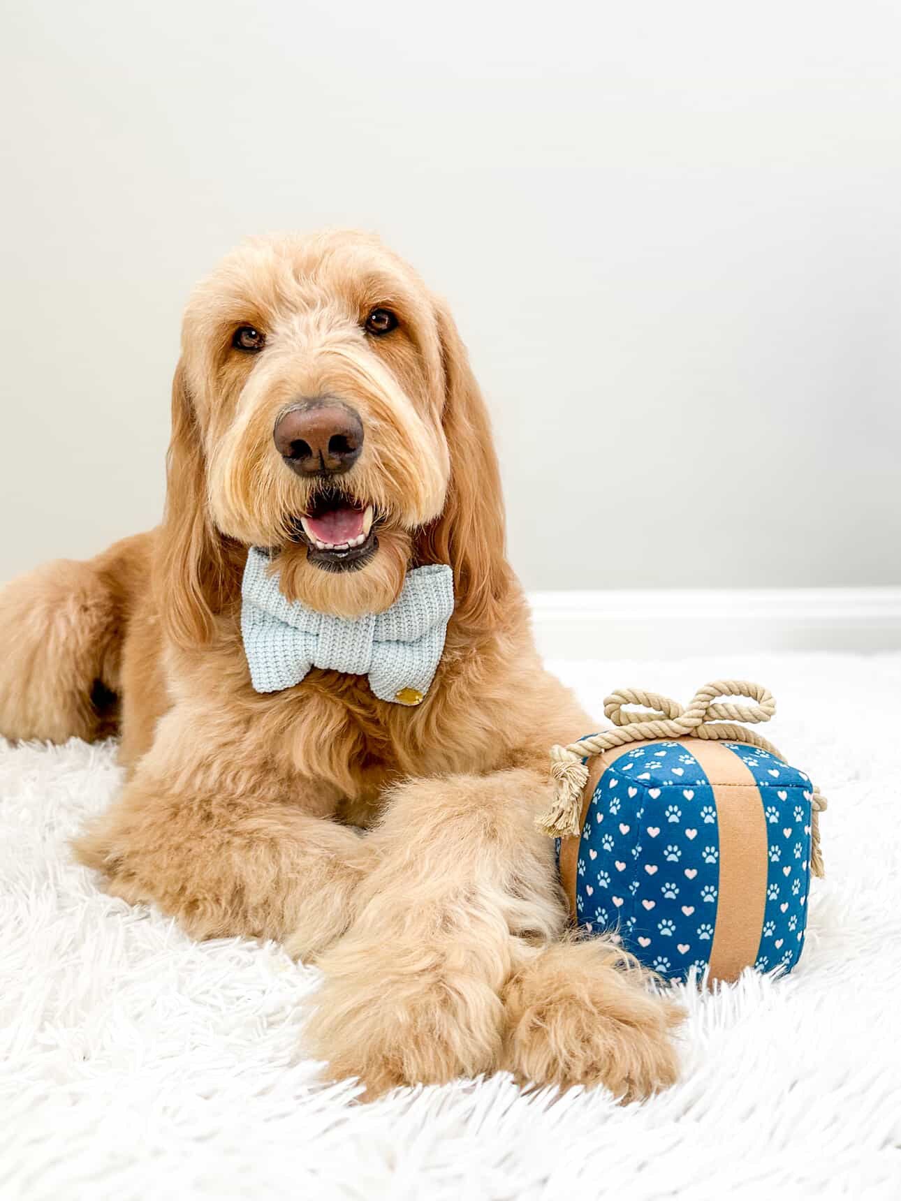 PUPROAR™ Gift Box Squeaky Plush Dog Toy