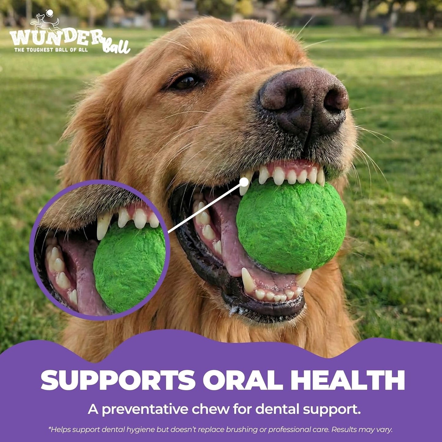 WUNDERball Natural Rubber Dog Ball