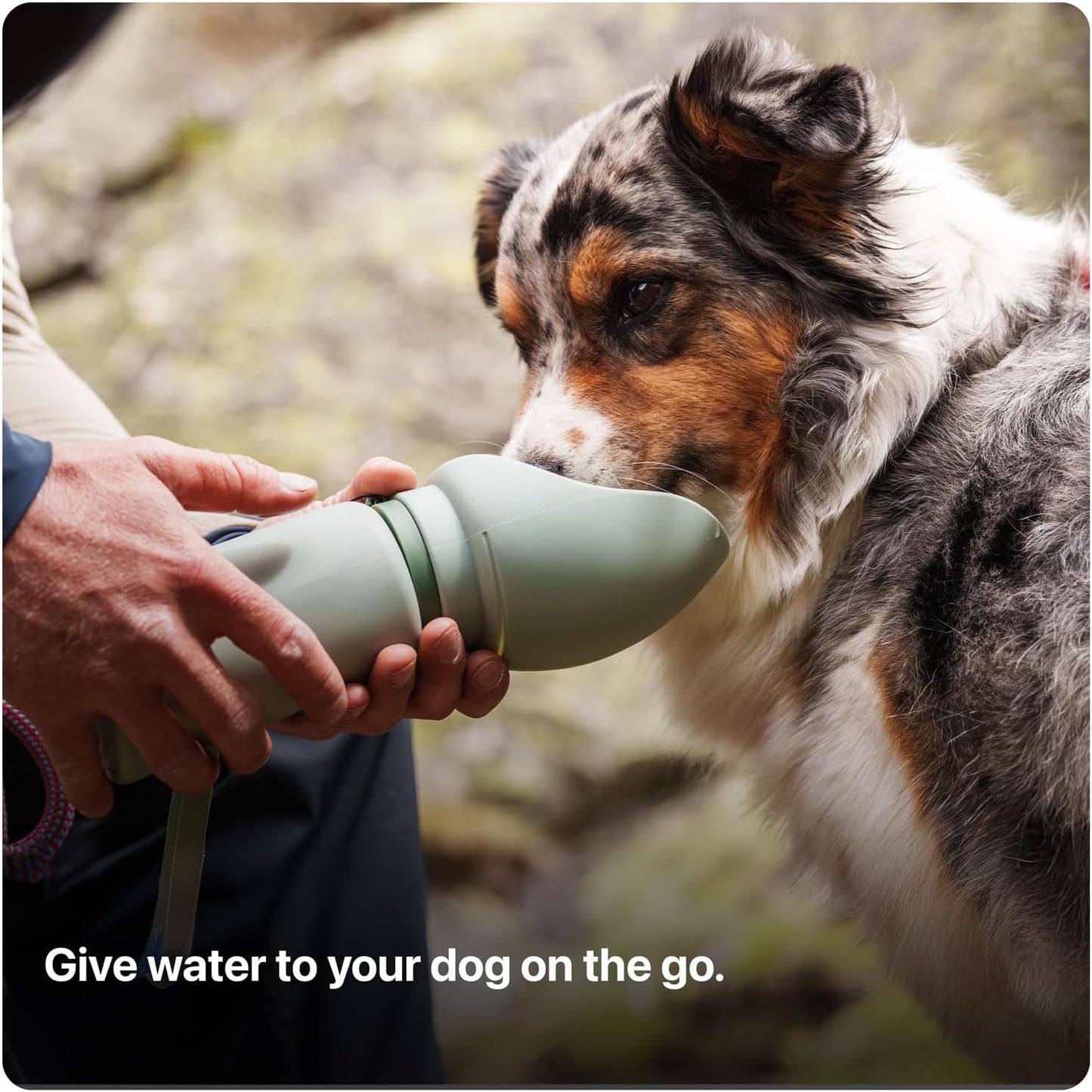 Portable Dog Water Bottle 750ML