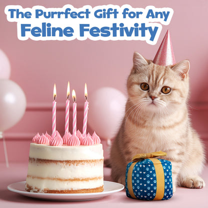 PUPROAR™ Gift Box Catnip & Crinkle Cat Toy