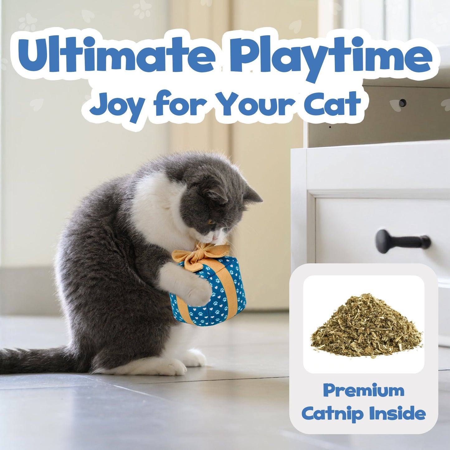 PUPROAR™ Gift Box Catnip & Crinkle Cat Toy