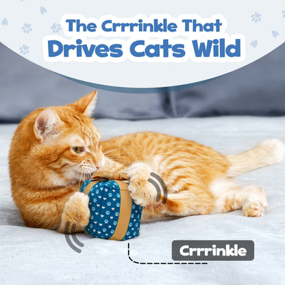 PUPROAR™ Gift Box Catnip & Crinkle Cat Toy