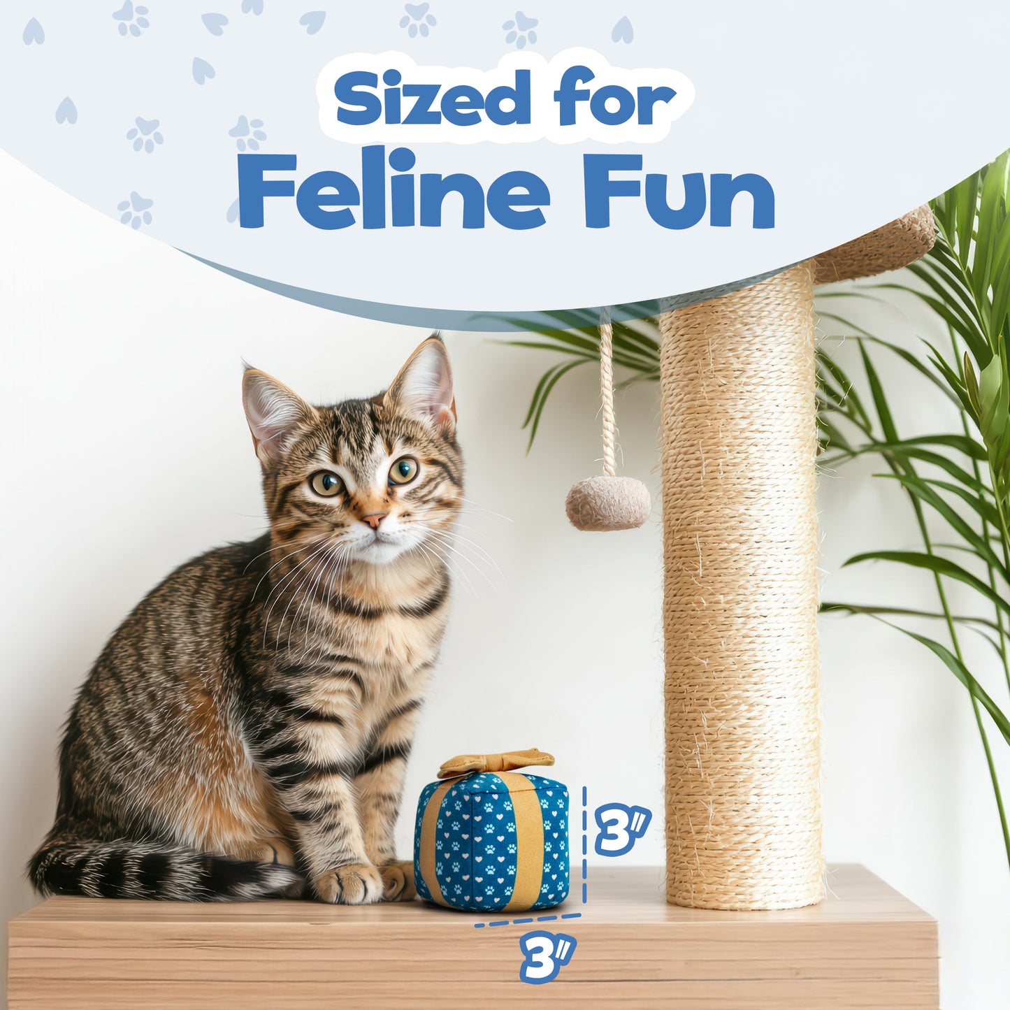 PUPROAR™ Gift Box Catnip & Crinkle Cat Toy