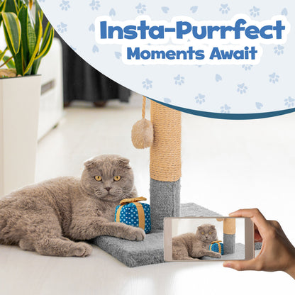 PUPROAR™ Gift Box Catnip & Crinkle Cat Toy