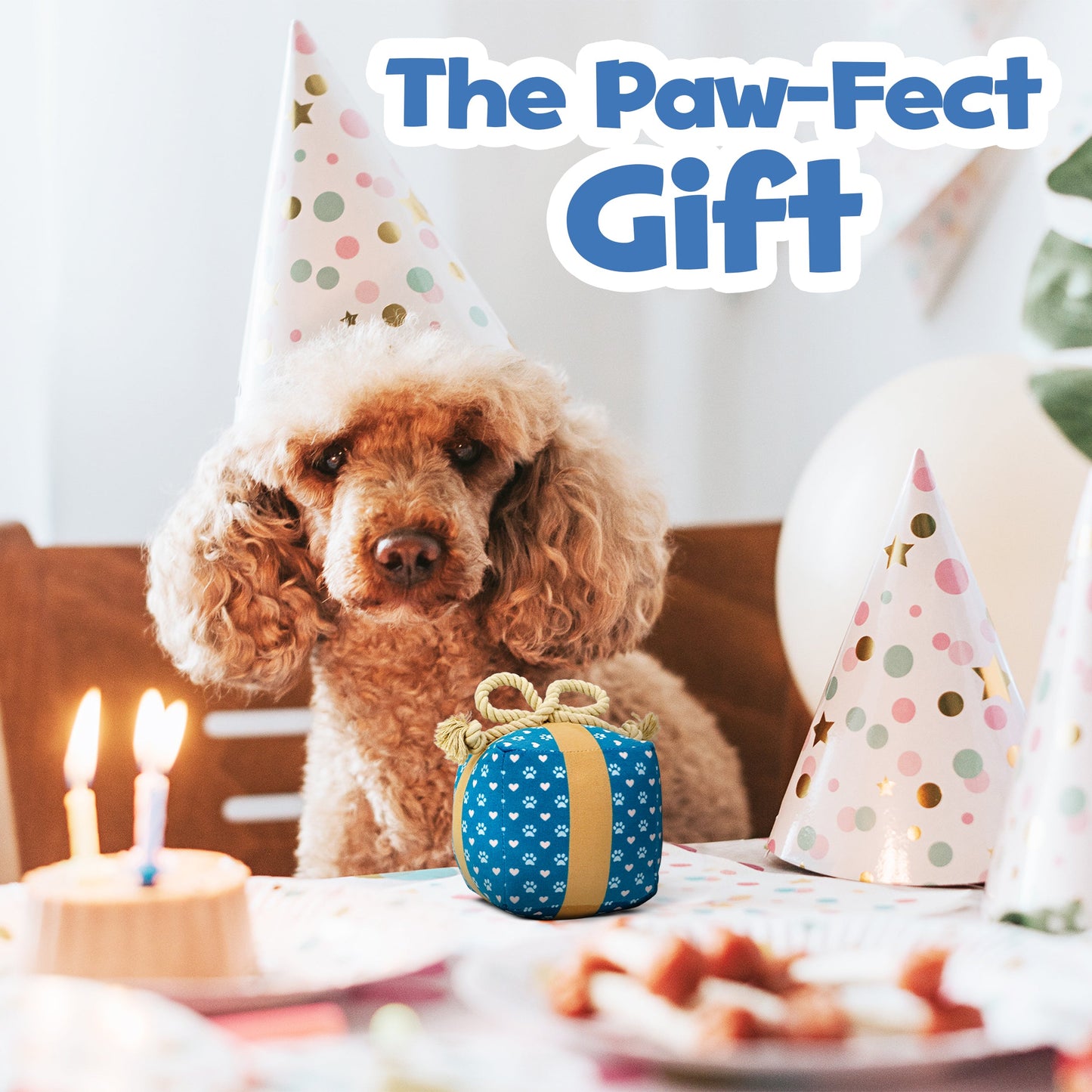 PUPROAR™ Gift Box Squeaky Plush Dog Toy