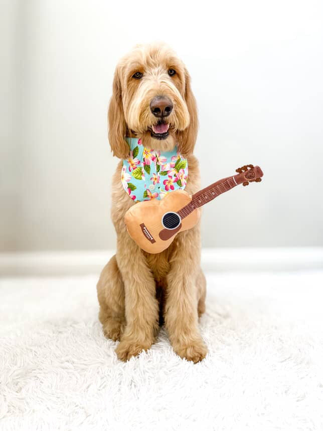 PUPROAR™ Guitar Squeaky Plush Dog Toy