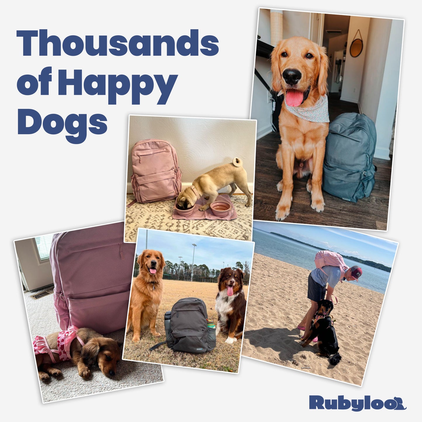 RUBYLOO™ Ultimate Dog Travel Backpack