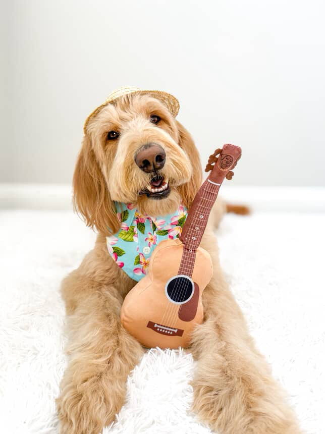 PUPROAR™ Guitar Squeaky Plush Dog Toy