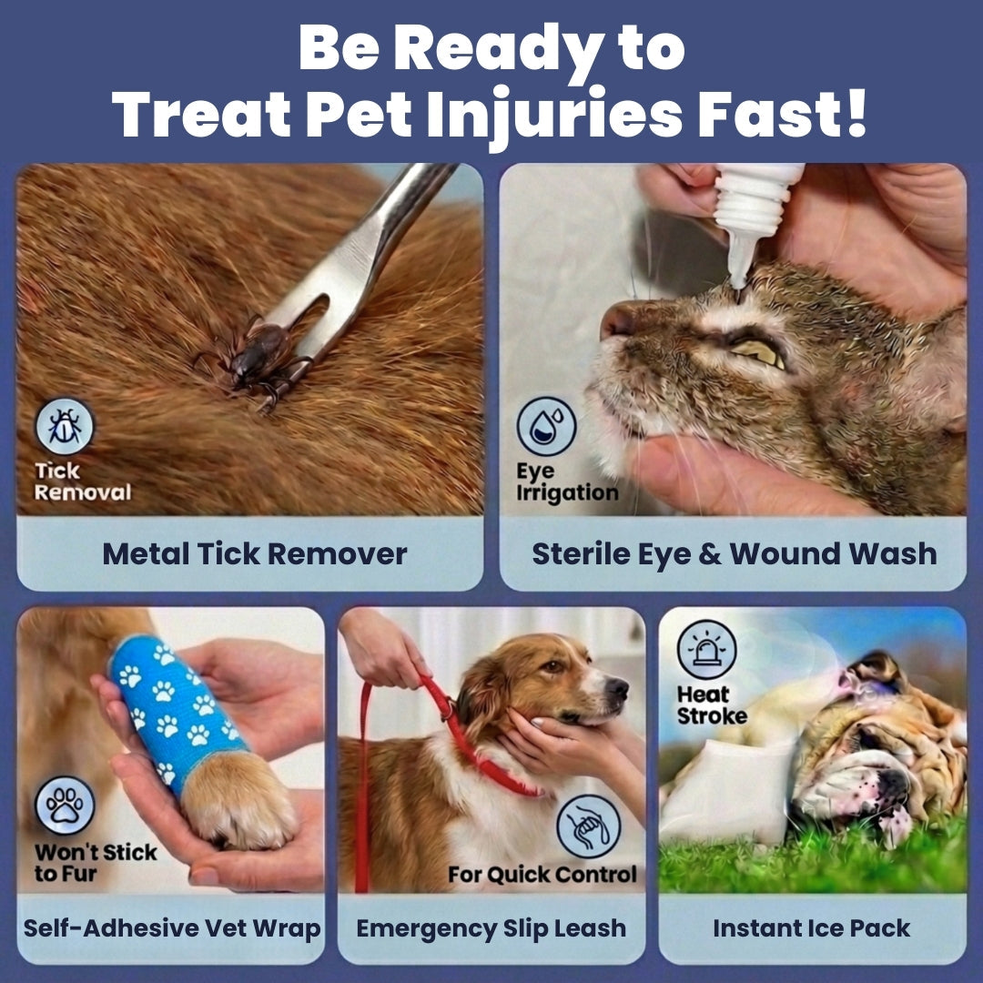 Trail Ready Pet First Aid Kit by Rubyloo