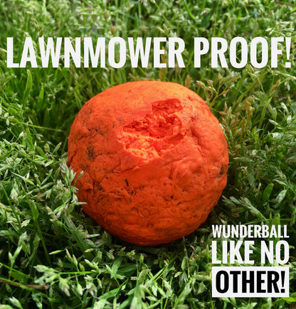 WUNDERball Natural Rubber Dog Ball