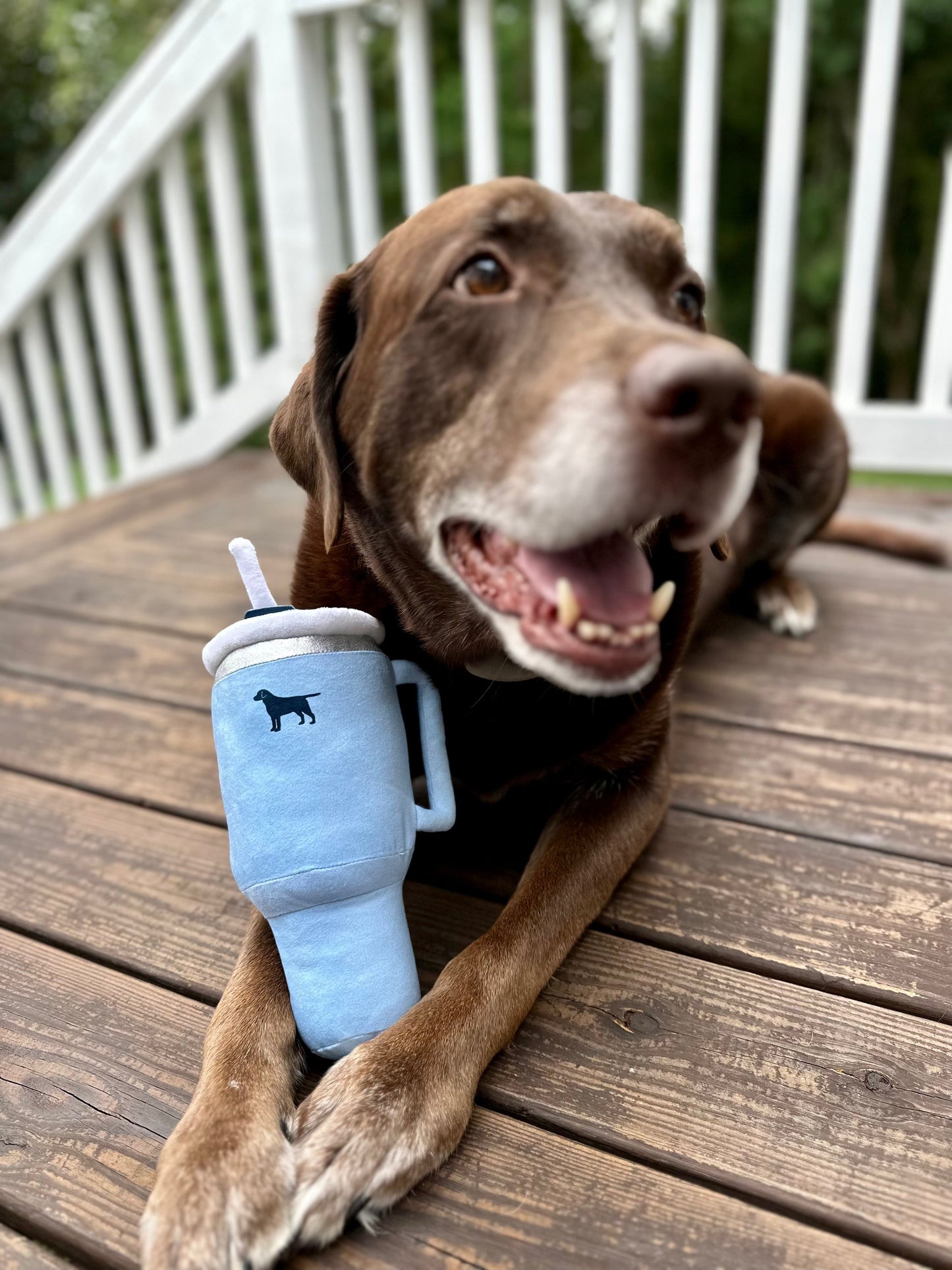 PUPROAR™ Pup Cup Squeaky Plush Dog Toy
