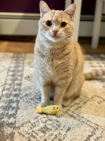 Catnip Sardinies Cat Toy by HuggleKats®