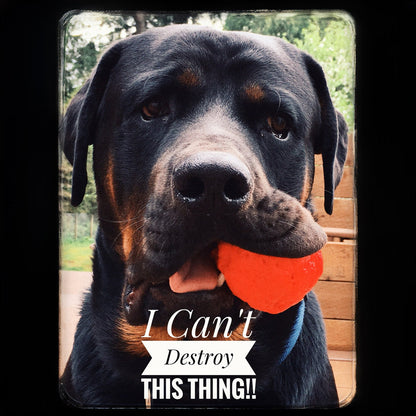 WUNDERball Natural Rubber Dog Ball