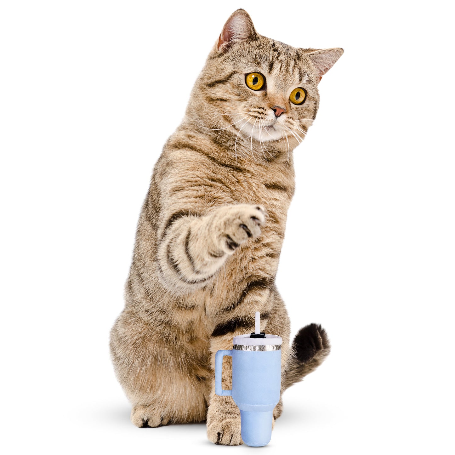PUPROAR™ Kitty Cup Catnip & Crinkle Cat Toy