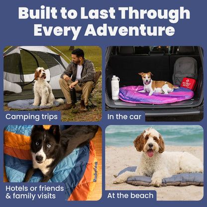 Trailside Comfort Travel Dog Bed