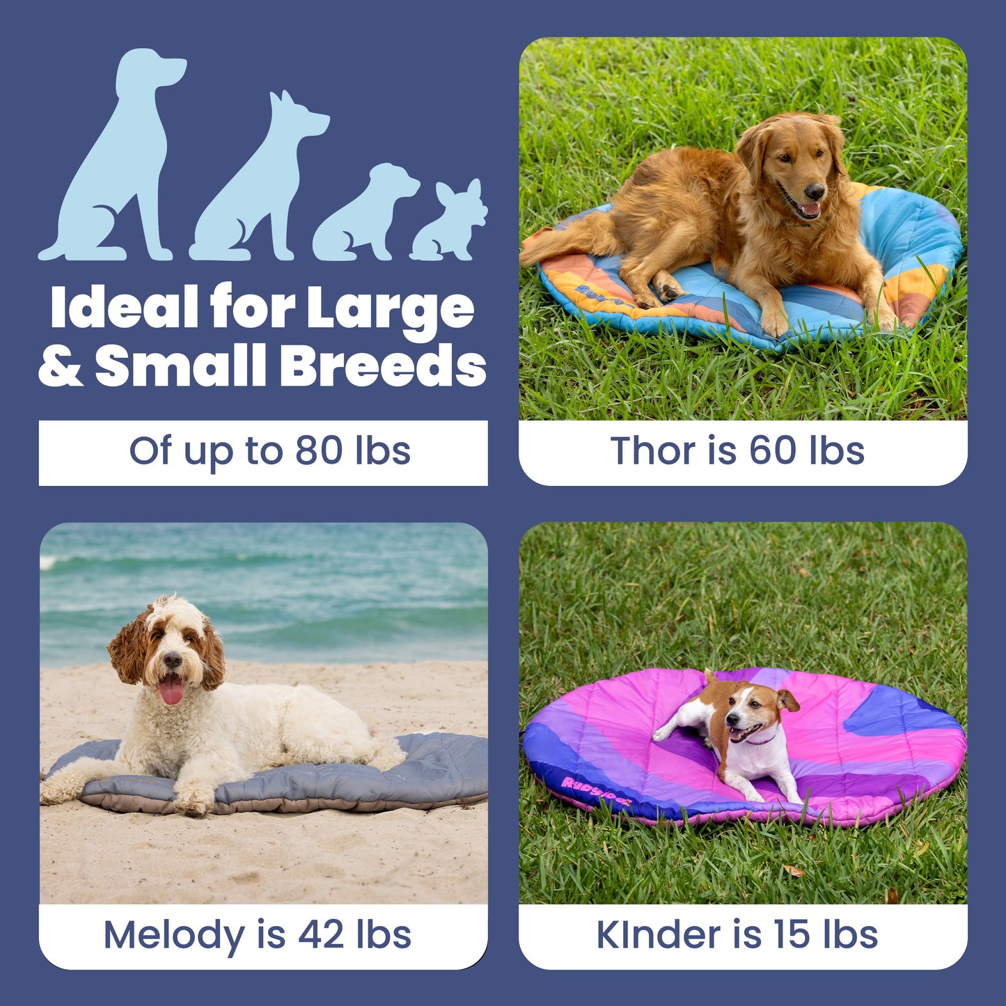Trailside Comfort Travel Dog Bed