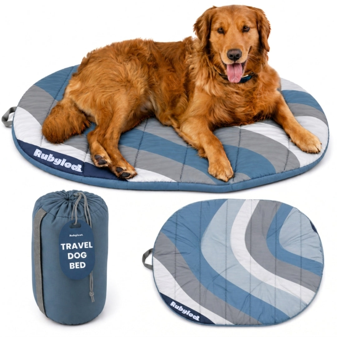Trailside Comfort Travel Dog Bed