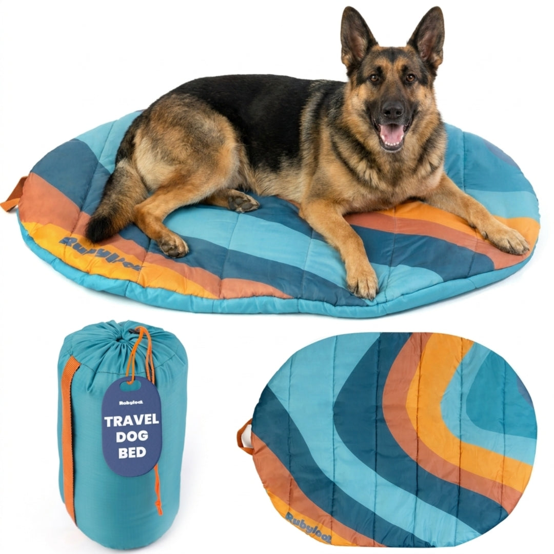 Trailside Comfort Travel Dog Bed