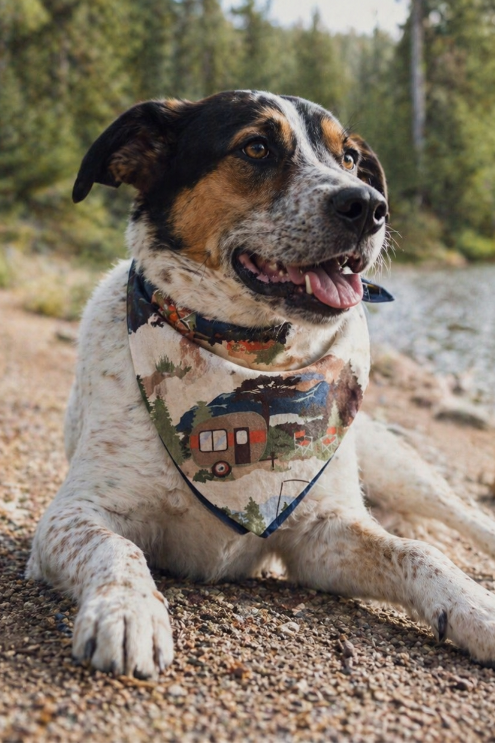 Happy Camper Dog Bandana