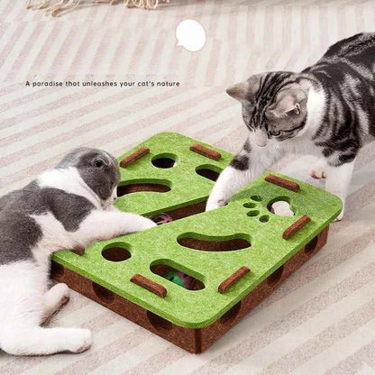 Interactive Cat Puzzle Toy