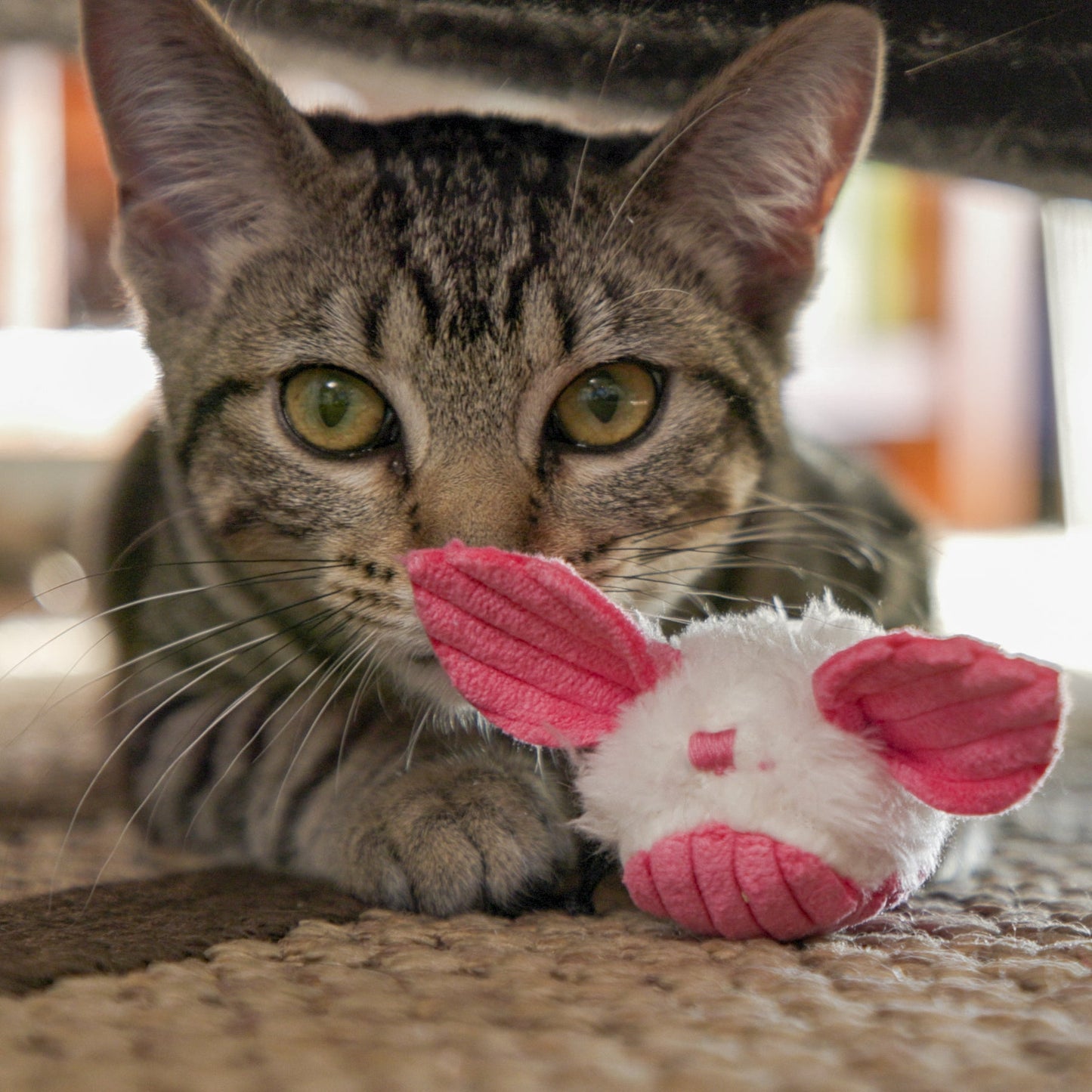 Dust Bunnies Cat Toys by HuggleKats®