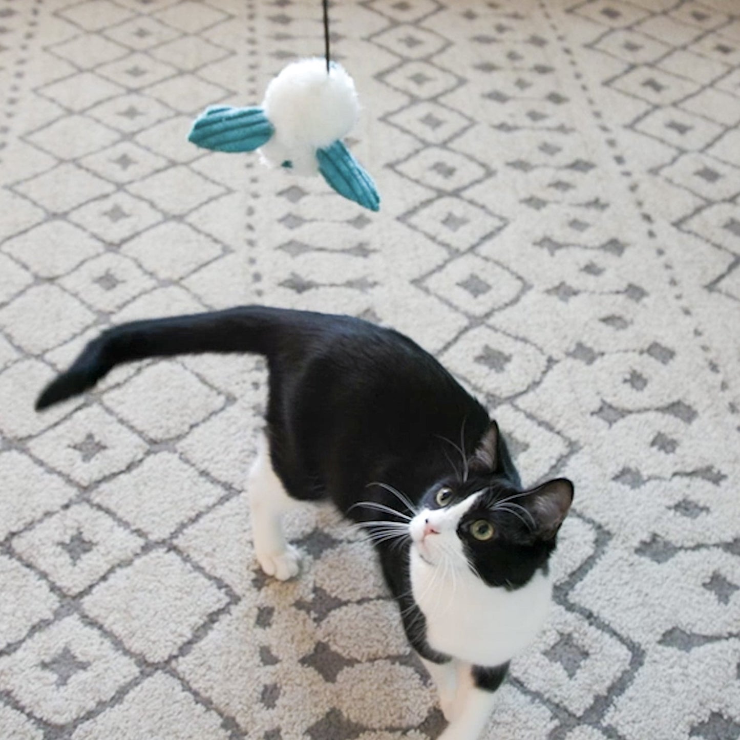 Dust Bunnies Cat Toys by HuggleKats®