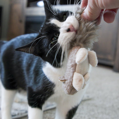 HuggleKats® Wee Feller Squirrelie Catnip & Crinkle Cat Toy 🐿️