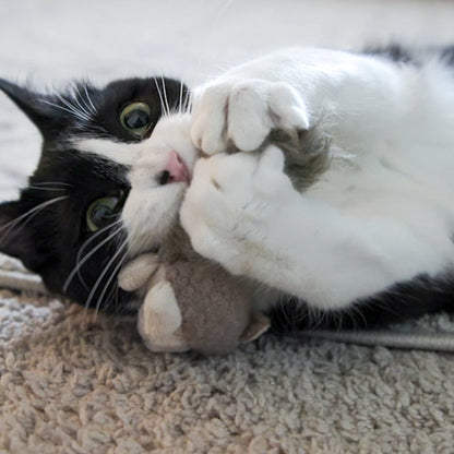 HuggleKats® Wee Feller Squirrelie Catnip & Crinkle Cat Toy 🐿️