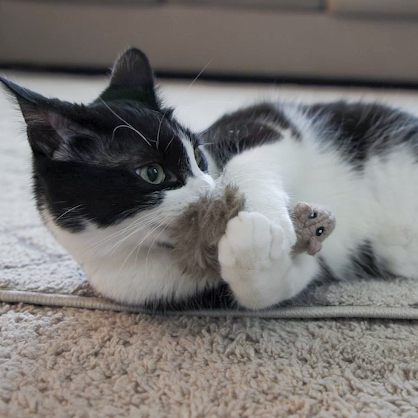 HuggleKats® Wee Feller Squirrelie Catnip & Crinkle Cat Toy 🐿️