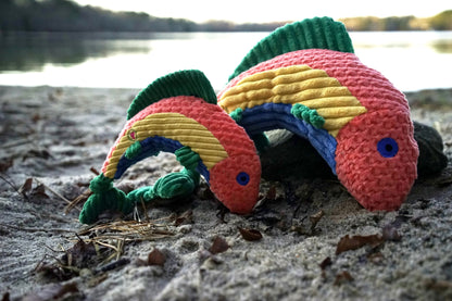Raucous Rainbow Trout Knottie® Plush Dog Toy