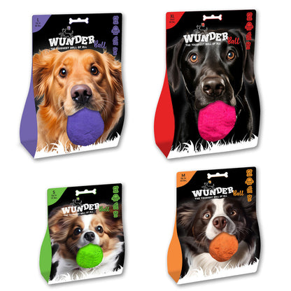WUNDERball Natural Rubber Dog Ball
