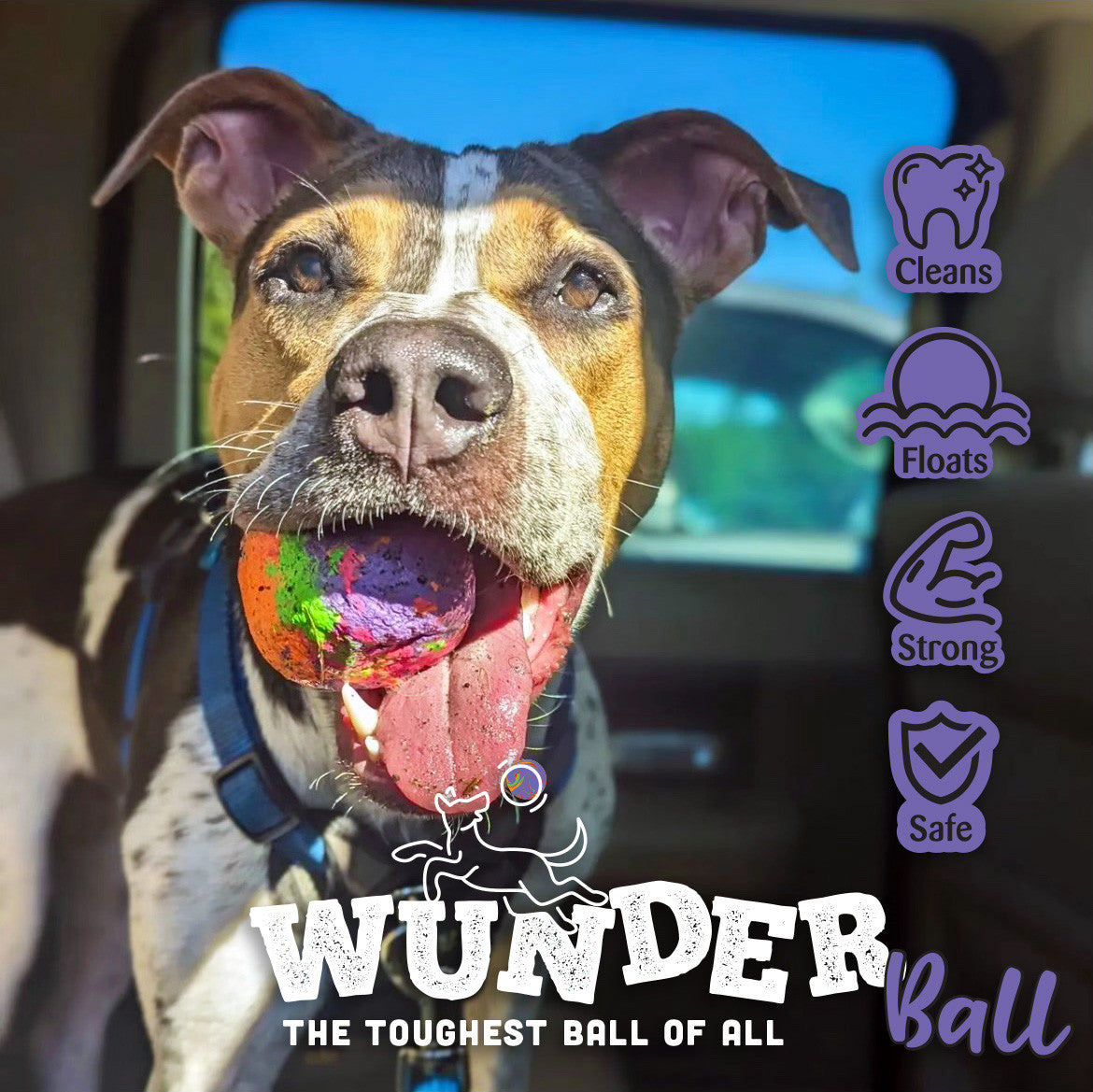 WUNDERball Natural Rubber Dog Ball