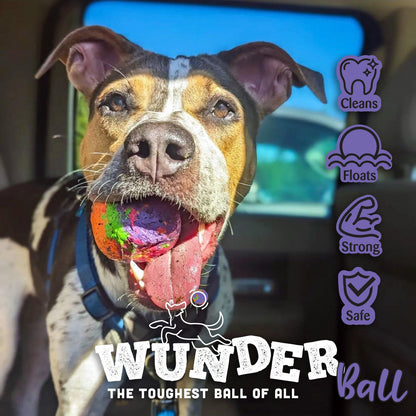 WUNDERball Natural Rubber Dog Ball
