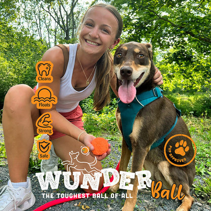 WUNDERball Natural Rubber Dog Ball