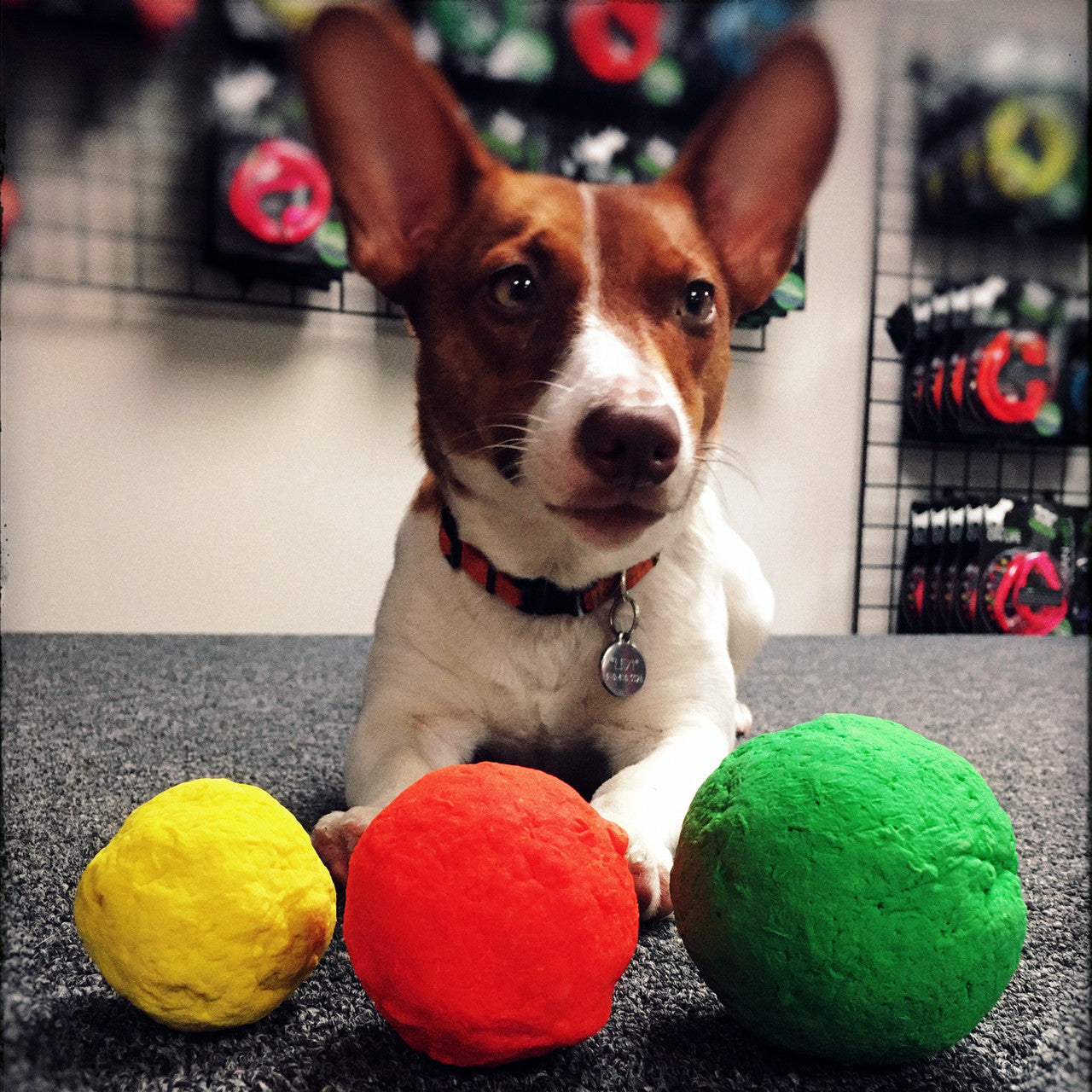 WUNDERball Natural Rubber Dog Ball