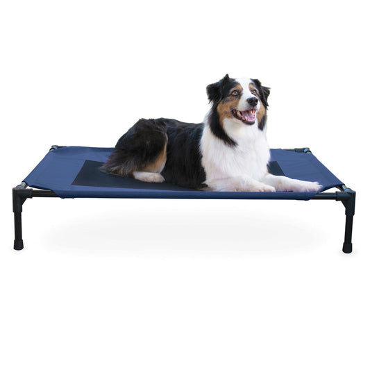 Elevated Dog Bed