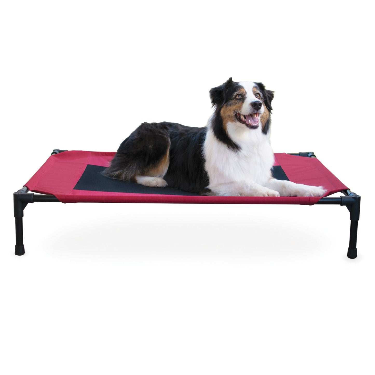 Elevated Dog Bed