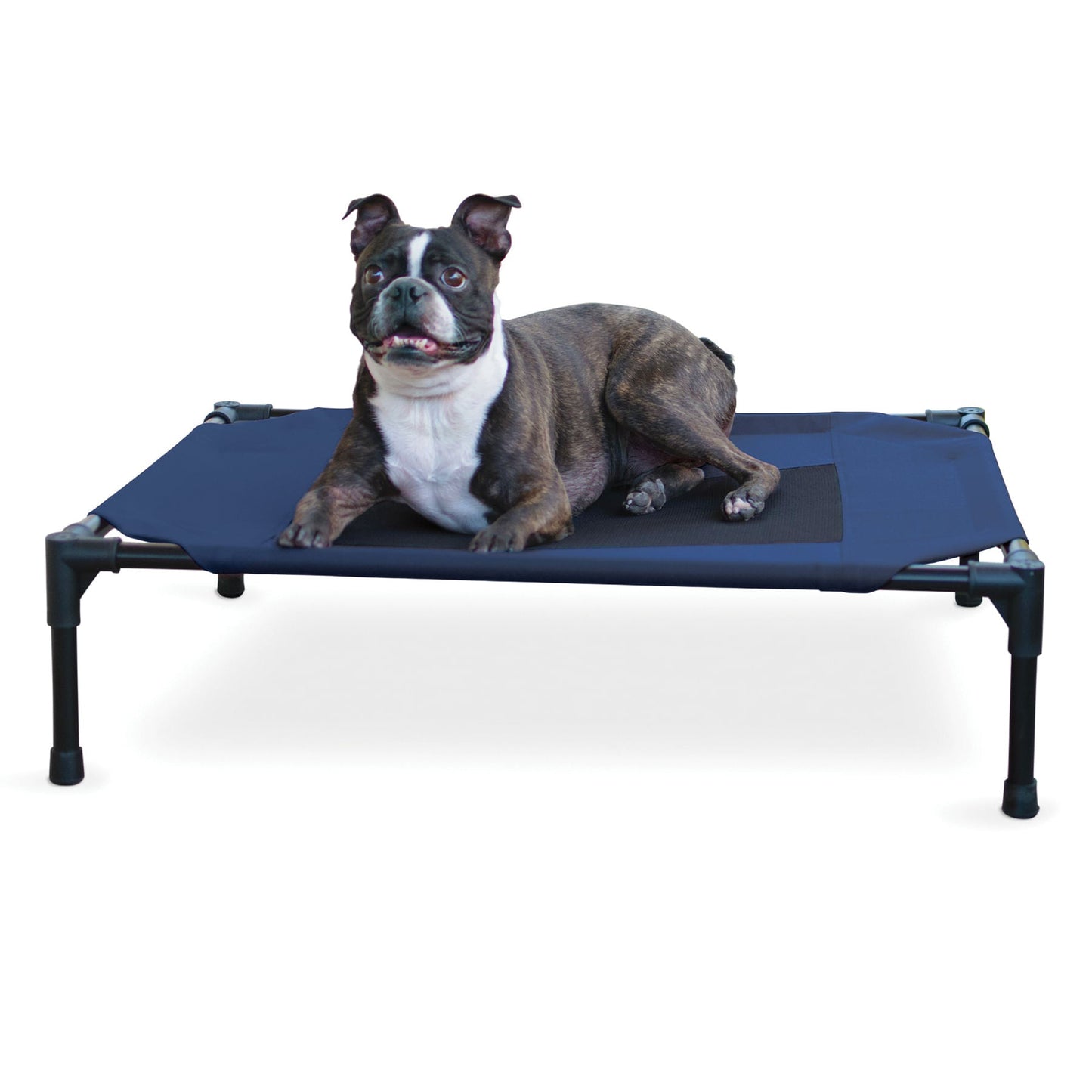 Elevated Dog Bed