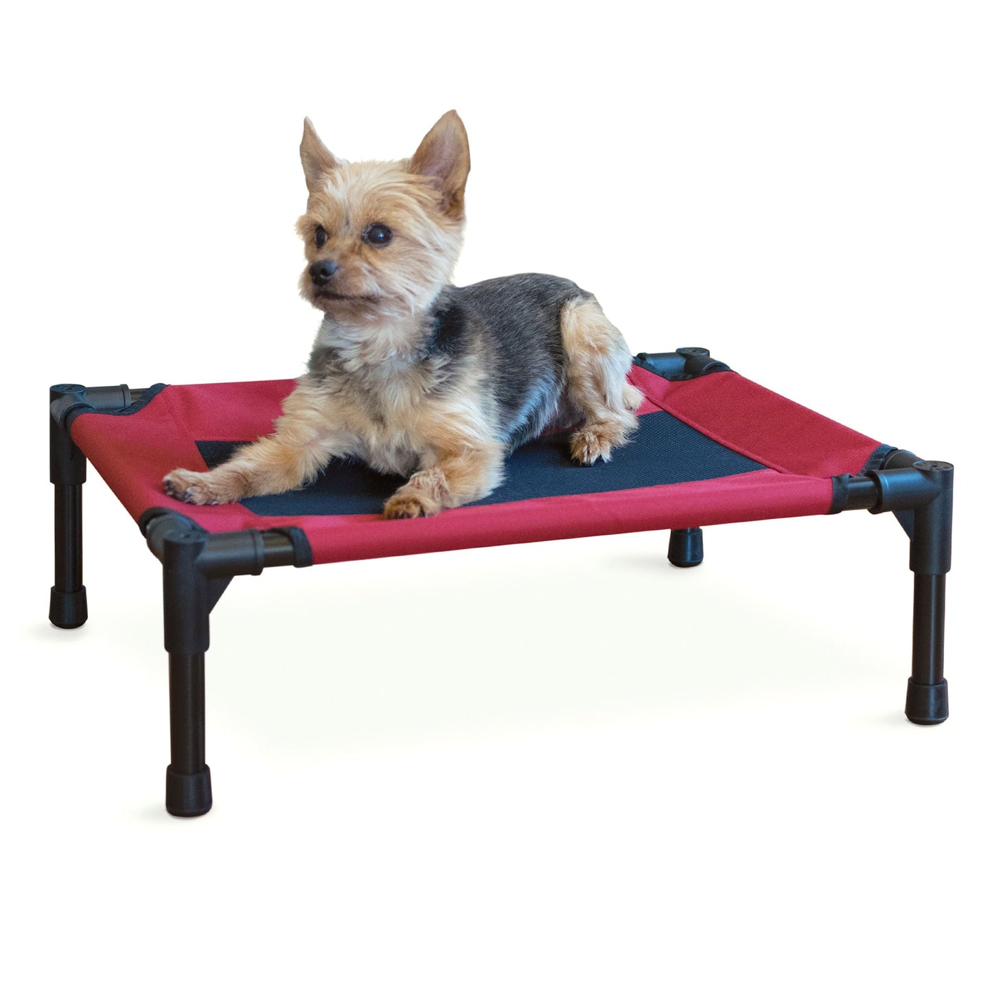 Elevated Dog Bed