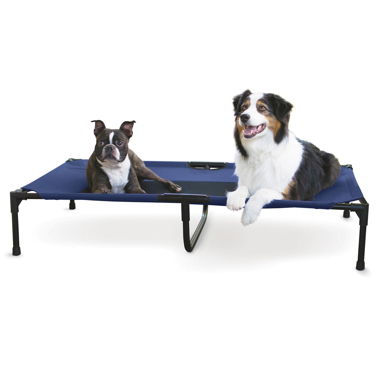 Elevated Dog Bed