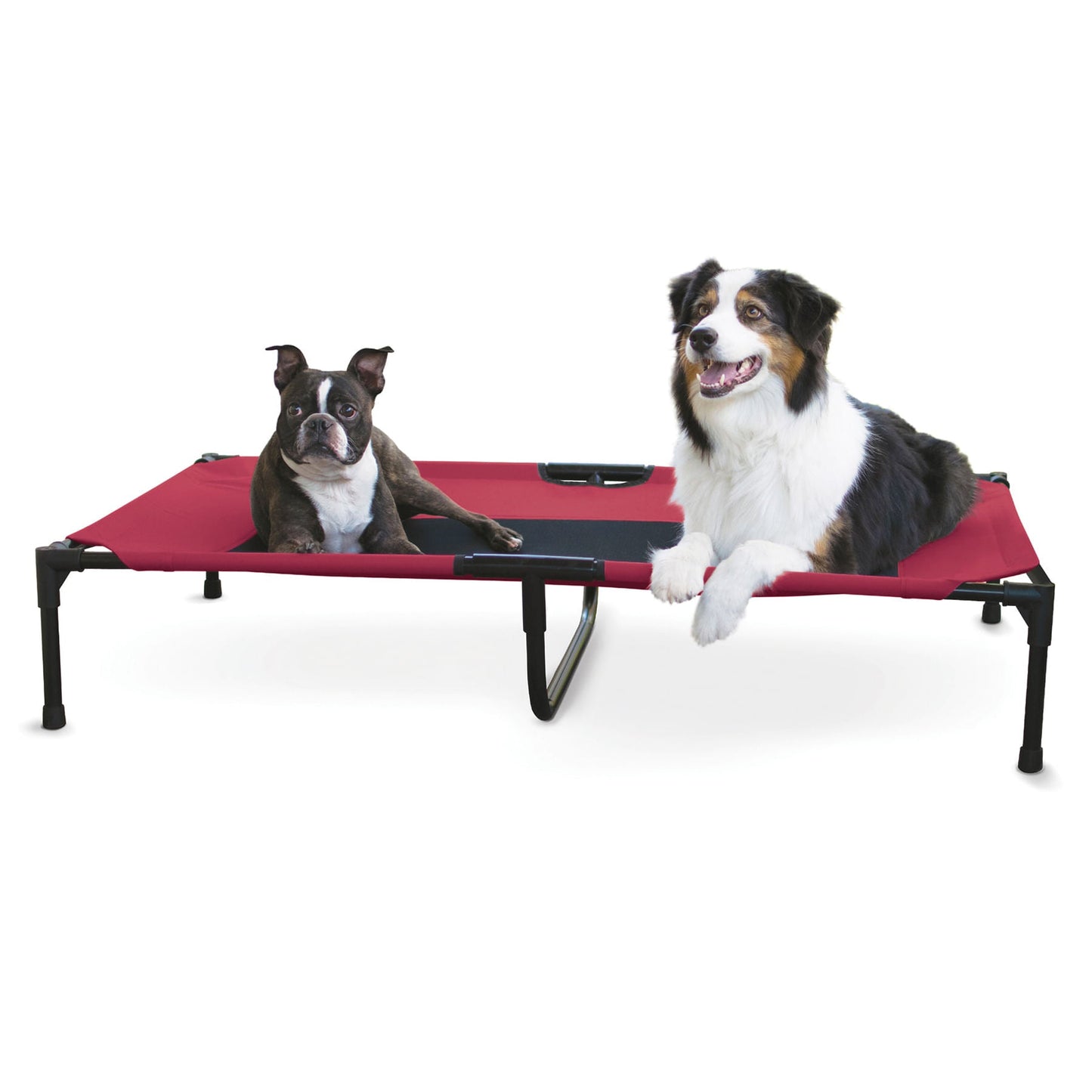 Elevated Dog Bed