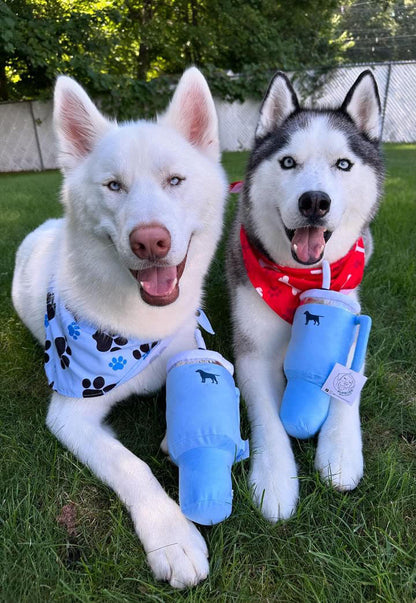 PUPROAR™ Pup Cup Squeaky Plush Dog Toy