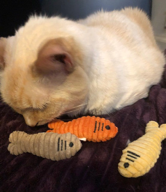 Catnip Sardinies Cat Toy by HuggleKats®